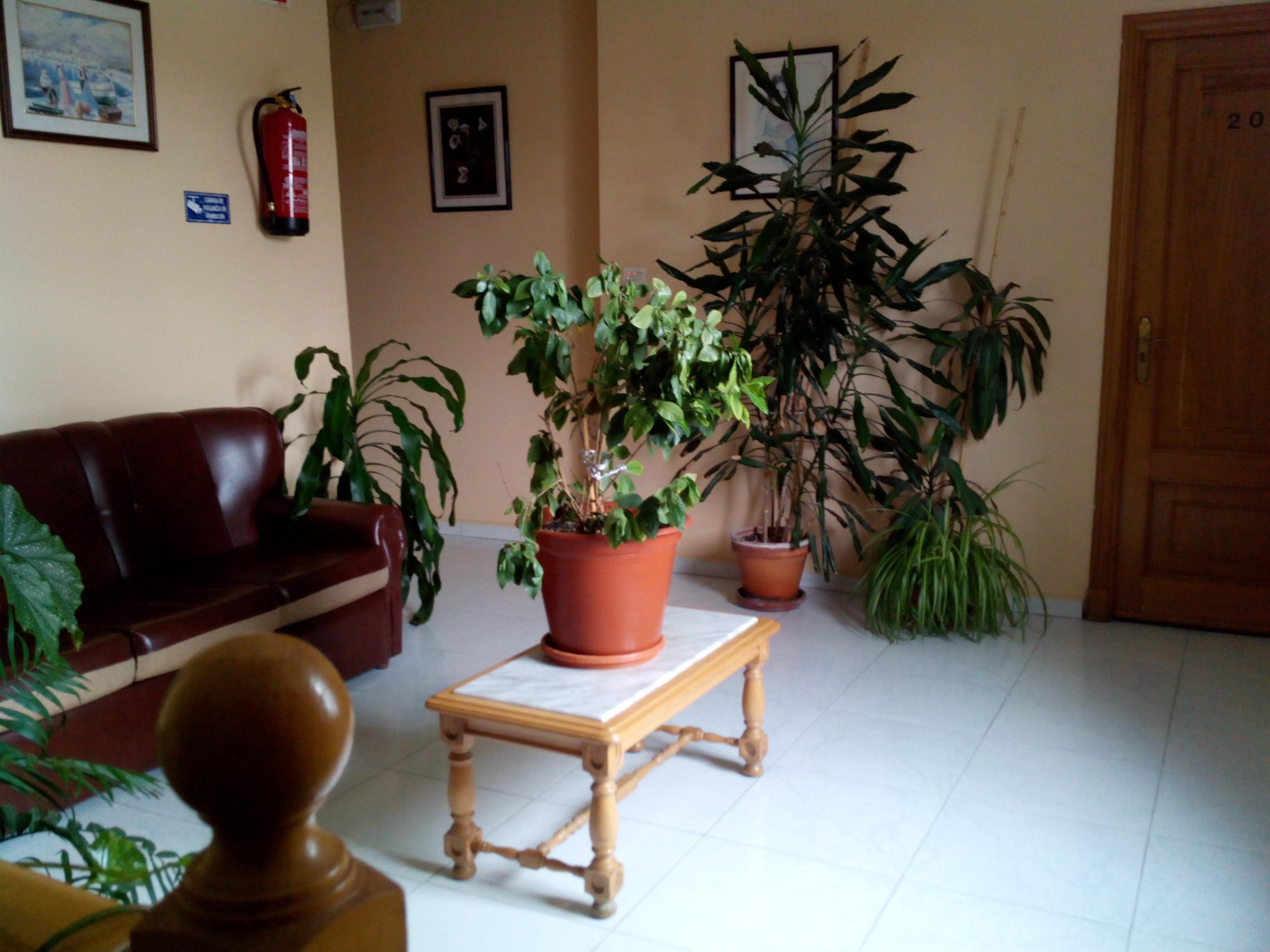 Hostal Sequeiros San Ciprian de Vinas Luaran gambar